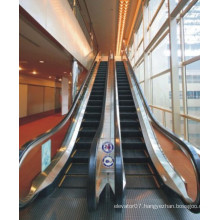 Home Escalator for Commercial Buildings 35′ Use Japan Technology (FJF-W-6000)